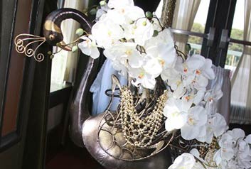 Orchids
